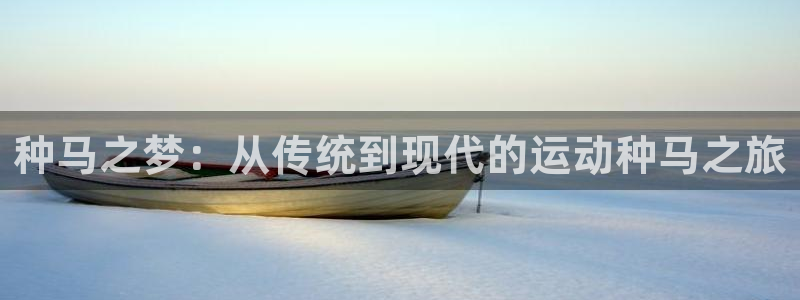 必一运动官网：种马之梦：从传统到现代的运动种马之旅