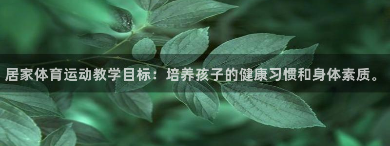 bsport必一运动：居家体育运动教学目标：培养孩子的健康习惯和身体素质。
