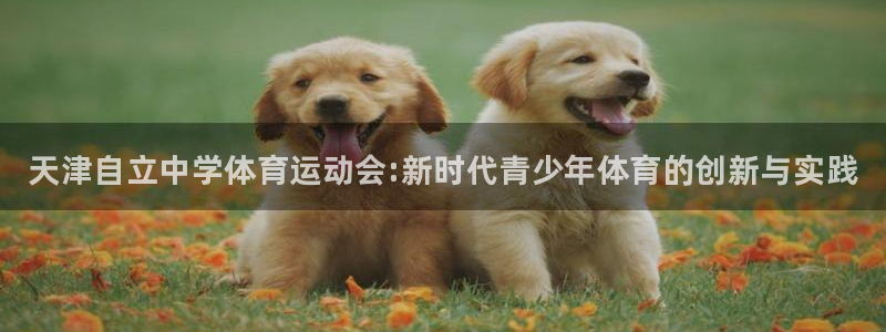 bsports必一运动：天津自立中学体育运动会:新时代青少年体育的创新与实践