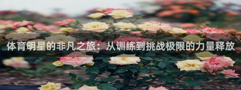 必一运动app：体育明星的非凡之旅：从训练到挑战极限的力量释放