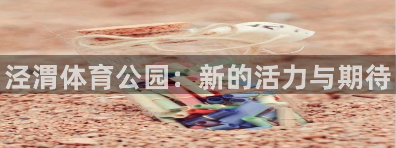 必一运动bsport体育：泾渭体育公园：新的活力与期待