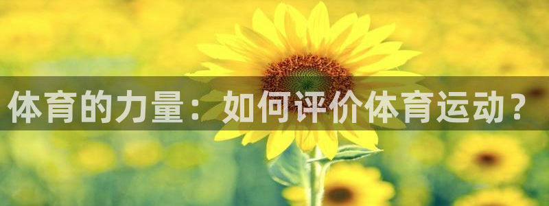 必一运动体育官网入口：体育的力量：如何评价体育运动？