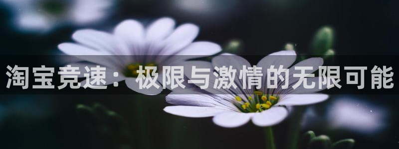 必一运动体育：淘宝竞速：极限与激情的无限可能
