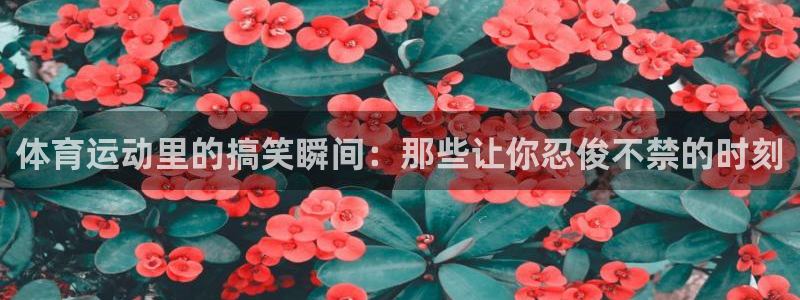 必一运动：体育运动里的搞笑瞬间：那些让你忍俊不禁的时刻