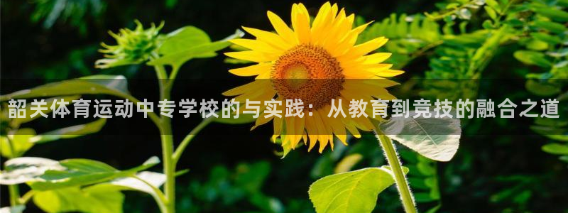 必一运动：韶关体育运动中专学校的与实践：从教育到竞技的融合之道